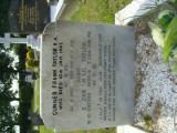 image number Taylor F 05136
